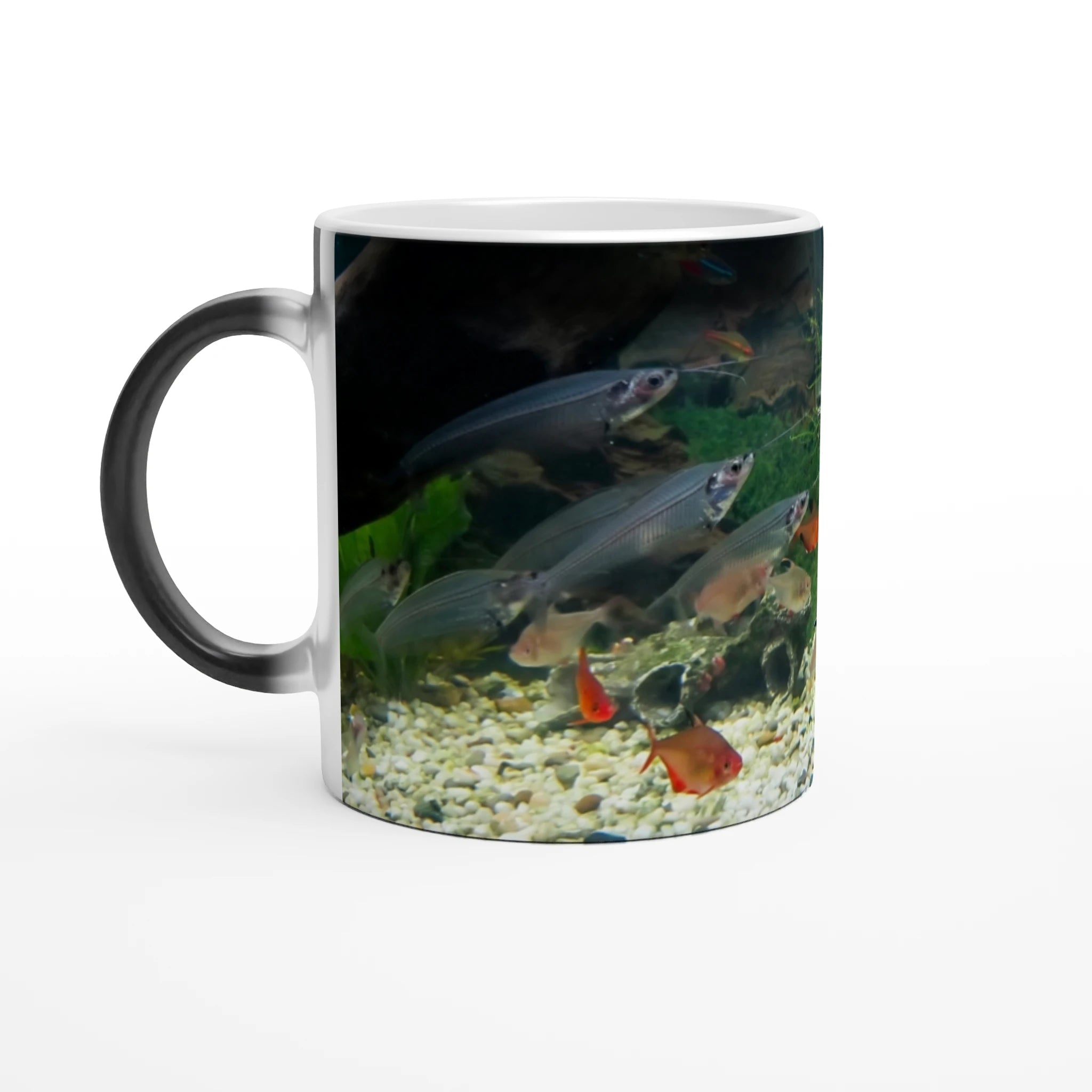 Premium Zaubertasse „Aquascaping“ – Magischer Becher mit Aquarium - Motiv & Garnele (325ml) - Made By Request Store